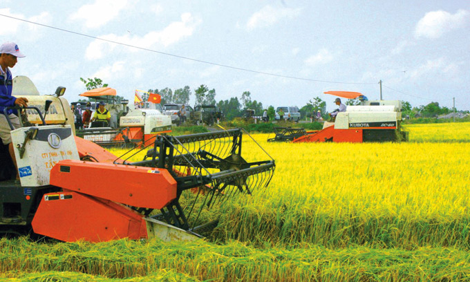 Xây dựng thương hiệu gạo là khẳng định lòng tin với người tiêu dùng